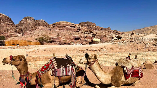 Wadi Rum ervaring - helende woestijnreis in Jordanië